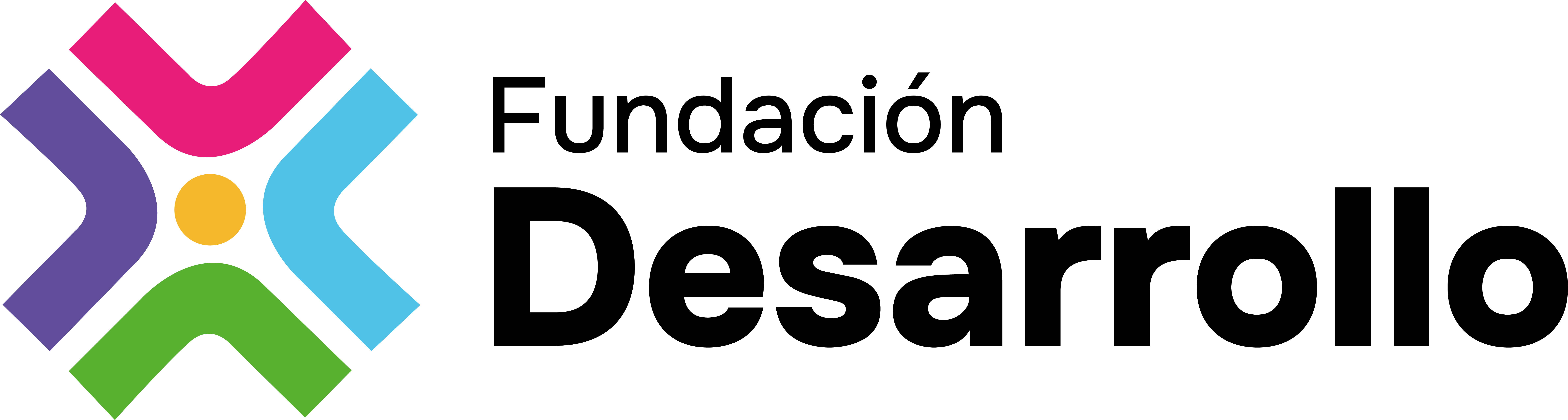 fundacion desarrollo